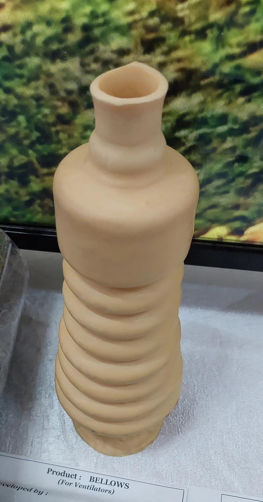 Silicone Valves & Membranes