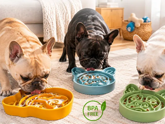 Non-Slip Slow Feeder Bowl