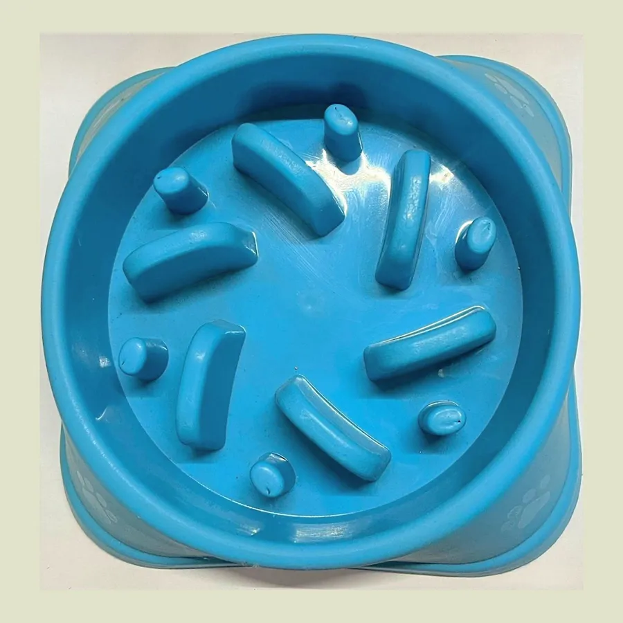 Non-Slip Slow Feeder Bowl