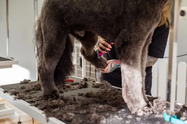 Pet Grooming Glove