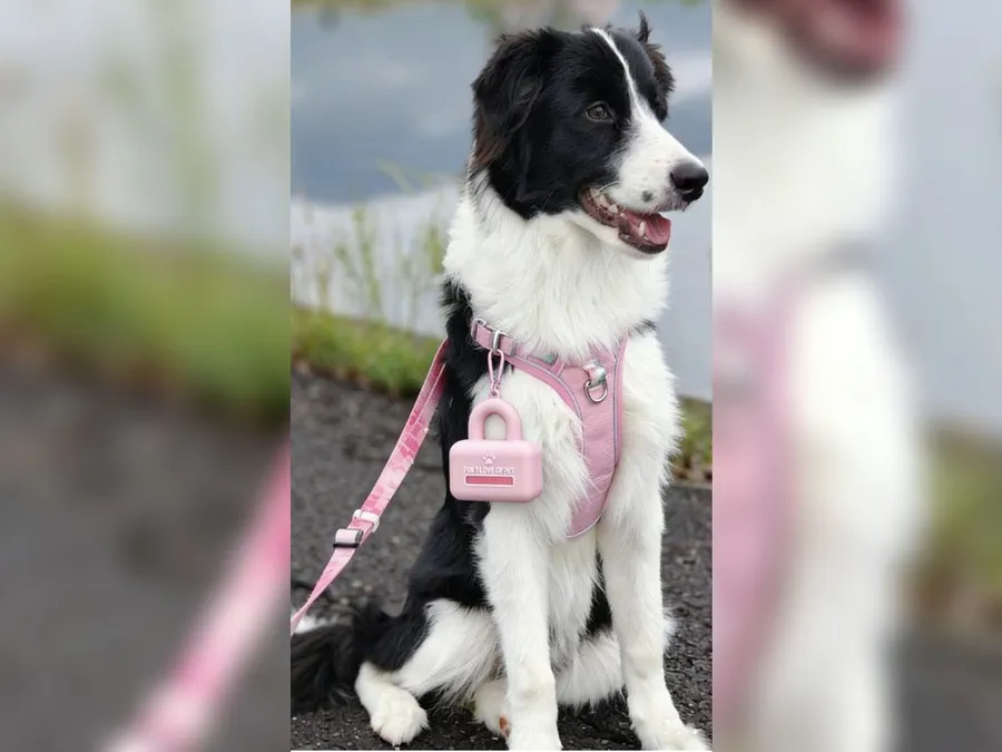 Dog Waste Bag Dispenser