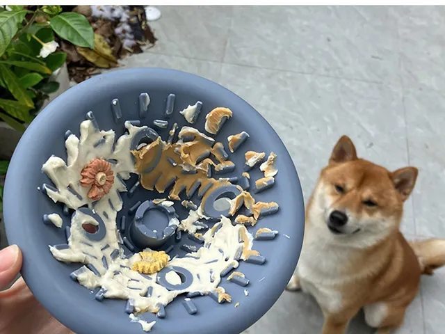 Suction Snuffle & Slow Feeder Bowl